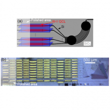 (a) Top-view schematic of the QCL array and arrayed waveguide grating (AWG). Mirrors are defined under the red III-V QCL ridges for both the distributed feedback (DFB) and distributed Bragg-reflection (DBR) type lasers. (b) Micrograph of a multi-spectral DFB laser, showing the individual lasers on the left and the AWG combiner on the right.